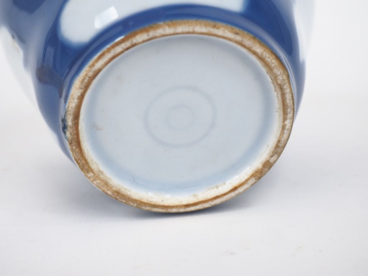 Vase XIXème en porcelaine extrême-orient à décor de feuilles de chêne 