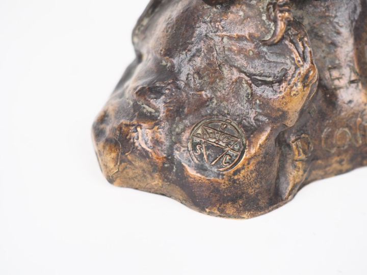 Dany CONTINSOUZAS. "le rapace" Sujet en bronze à patine brune Signé et