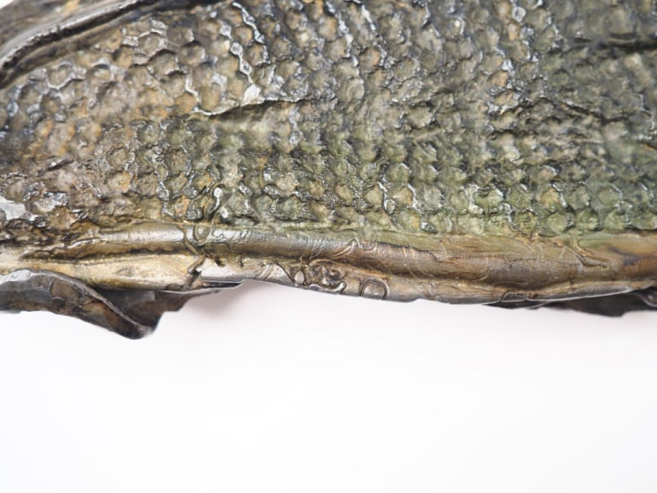 Sculpture contemporaine en plomb "Jeune africaine".  Signée  H. 49 cm