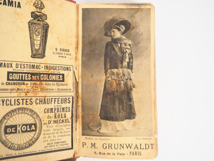 MICHELIN.  Guide rouge 1909. (accidents et frottements)