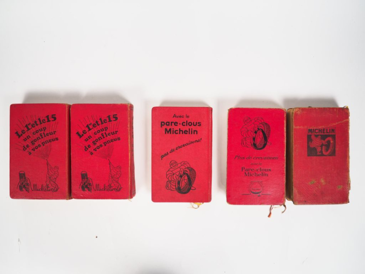 MICHELIN. Lot de cinq guides régionaux Alpes, Auvergne et Pyrénées. (a