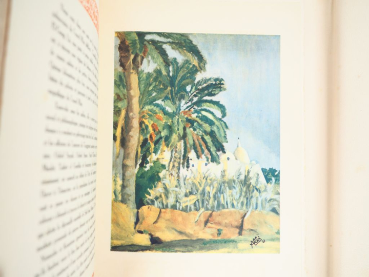 [ALGÉRIE]. SARRAILLON (B.). ROUFFI dans l’abîme de l’Aurès. [Alger, éd