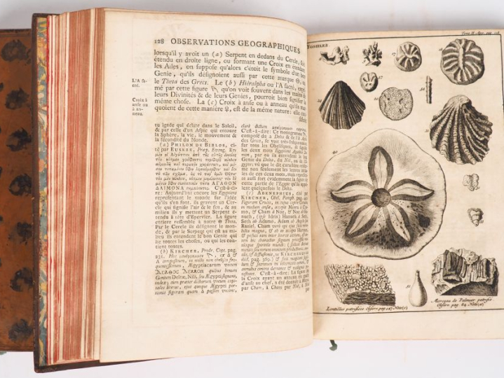 SHAW (A.). VOYAGES DE MONSr. SHAW, M. D. dans plusieurs provinces de l