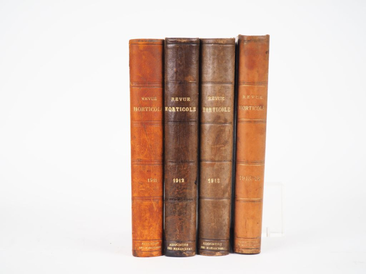 [BOTANIQUE]. REVUE HORTICOLE. Journal d’horticulture pratique. P., Lib