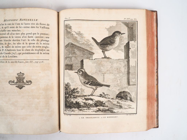 BUFFON (Comte de). HISTOIRE NATURELLE, générale et particulière, avec 