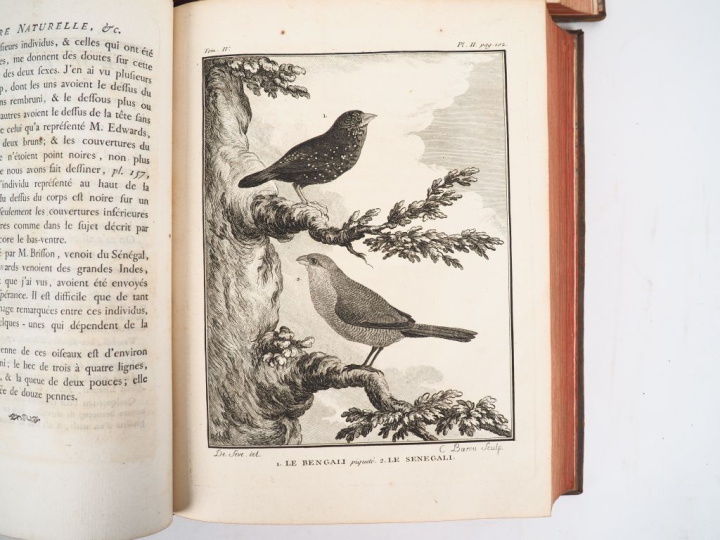 BUFFON (Comte de). HISTOIRE NATURELLE, générale et particulière, avec 