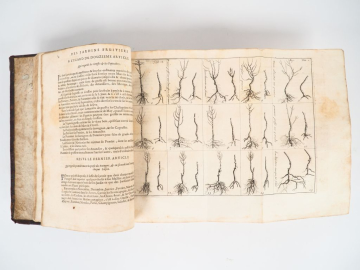 LA QUINTINYE (J.-B. de).	LE PARFAIT JARDINIER OU INSTRUCTION POUR LES 