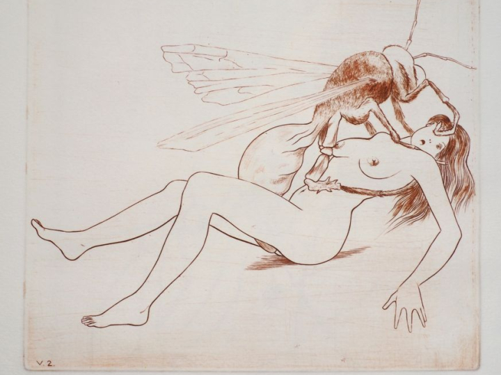 VIOLS. S.l.n.e., 1977. In-folio en ff. sous chemise toile avec titre e