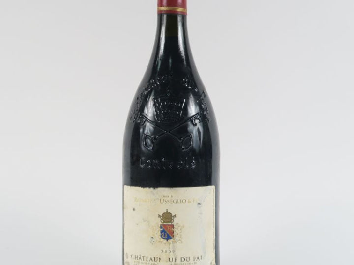 1 MAGNUM CHÂTEAUNEUF DU PAPE DOMAINE RAYMOND USSEGLIO   FILS - 2009 - 
