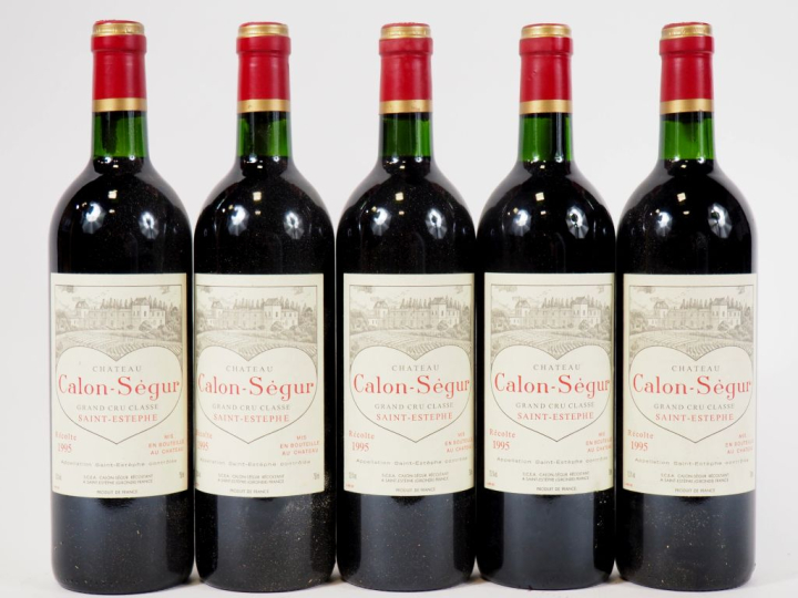 5 BOUTEILLES CHÂTEAU CALON SÉGUR GCC ST ESTÈPHE - 1995 - BG