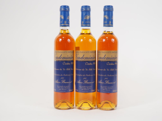 Vente aux enchères 3 BOUTEILLES (50 CL) PACHERENC DU VIC BILH 'VENDÉMIAIRE' ALAIN BRUMONT