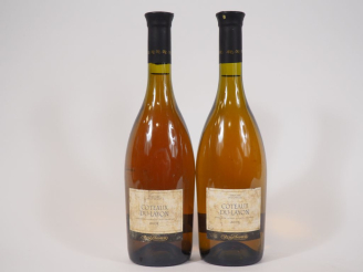 Vente aux enchères 2 BOUTEILLES COTEAUX DU LAYON REMY PANNIER - 2003