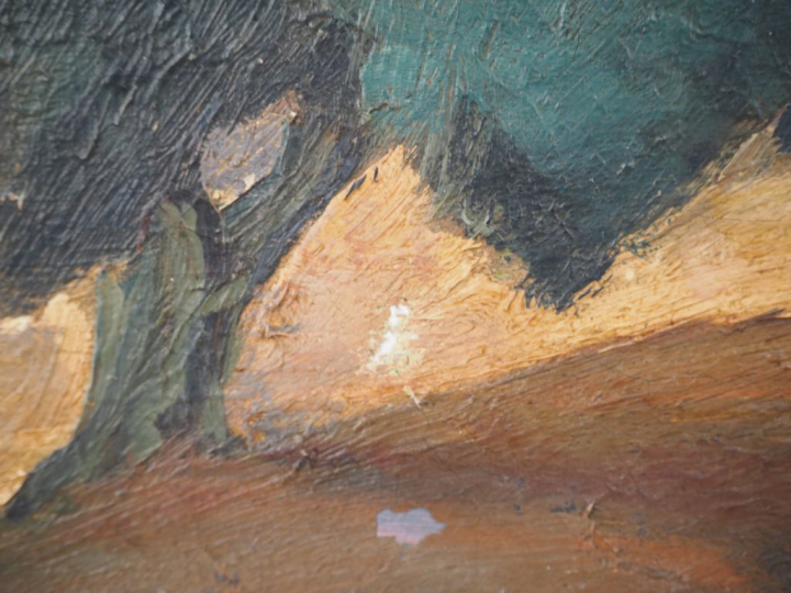 Henri CAILLET.  "paysage d'Afrique du Nord' Huile sur toile, signée en