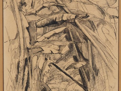 Louis RIOU. "bananier" Dessin signé en bas à gauche Dim. 48,5 x 31,5 c