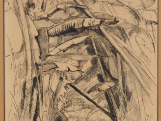 Vente aux enchères Louis RIOU. "bananier" Dessin signé en bas à gauche Dim. 48,5 x 31,5 c