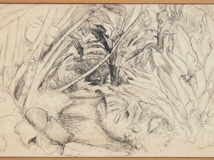 Louis RIOU.  "Bananier" Dessin, signée en bas à droite. Dim. 31,5 x 48