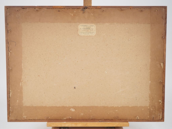 Louis RIOU.  "Bananier" Dessin, signée en bas à droite. Dim. 31,5 x 48