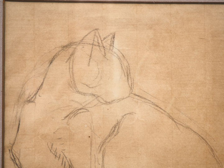 STEINLEN. (attribué à) "le chat" Dessin au crayon, signé en bas à droi