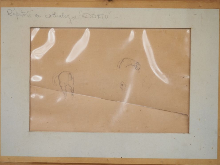 Henri de TOULOUSE-LAUTREC. "Etude de chevaux". Dessin au crayon double