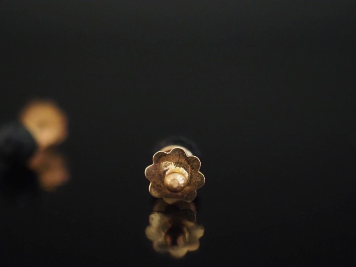 Paire de puces d'oreilles en or jaune 750, et composition, à décor d'é