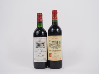Vente aux enchères 2 BOUTEILLES : 1 CHÂTEAU SAINT HILAIRE GUERIN 1994/1 CHÂTEAU TOUR DU H