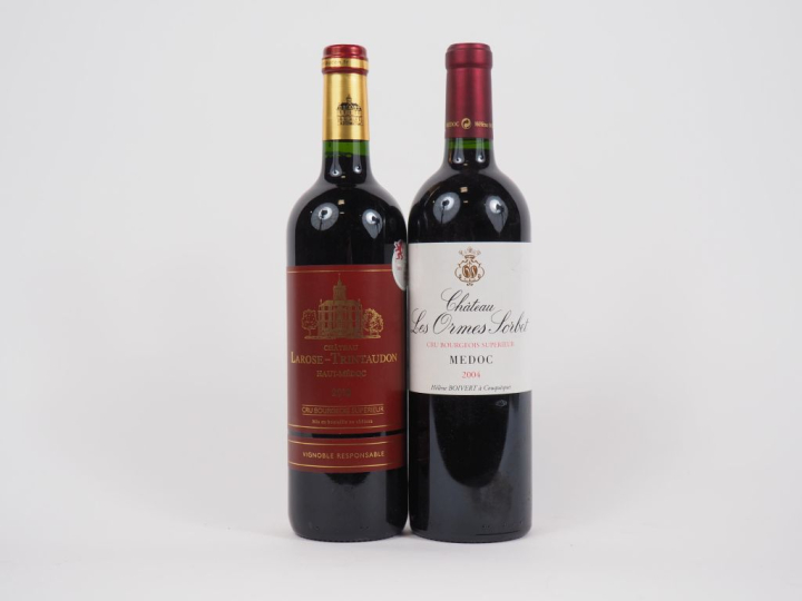 2 BOUTEILLES : 1 CHÂTEAU LAROZE TRINTAUDON HAUT MÉDOC 2018/1 CHÂTEAU L