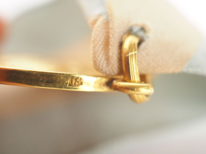 ARGENTINE  Médaille d’or de la Ligue patriotique argentine par Gottuzo