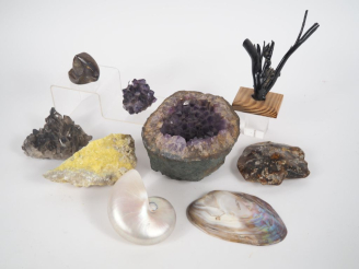 Vente aux enchères 8 différents Quartz, coquillages et pierres dures.