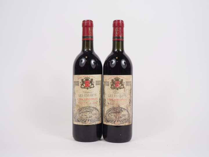 2 BOUTEILLES CHATEAU LES ESSARTS LUSSAC ST ÉMILION - 1996 - BG/ETS