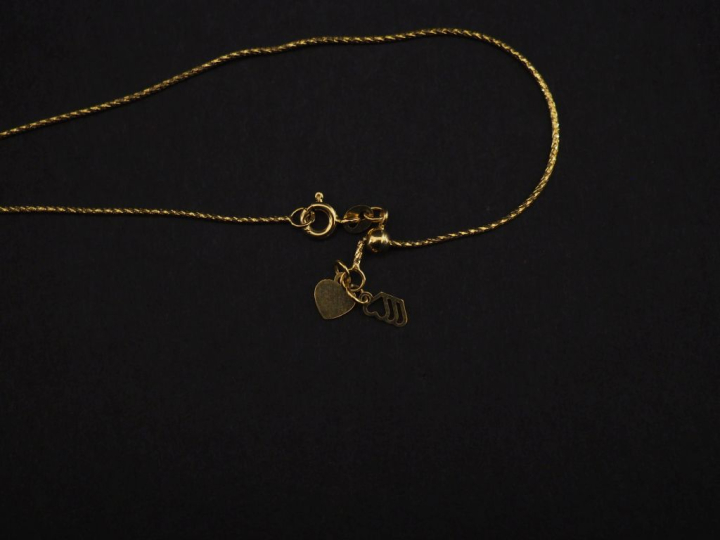 Collier en or jaune 750, maille ronde, agrémenté d'un pendentif de for