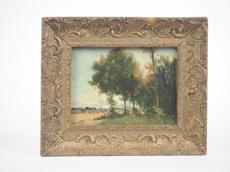Vente aux enchères DAVID.  "paysage" Huile sur carton, signée en bas à gauche Dim. 13,5 x