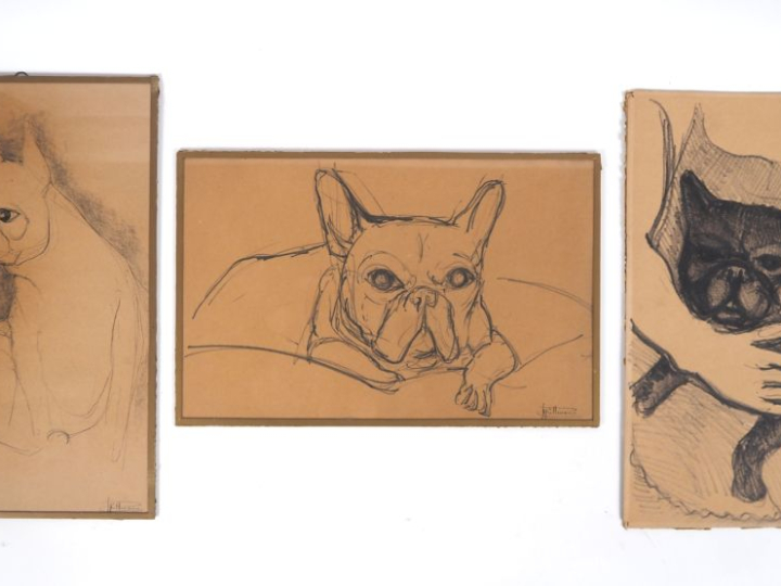 SPILLMANN.  "le bouldogue" 3 différents dessins, signés en bas à droit