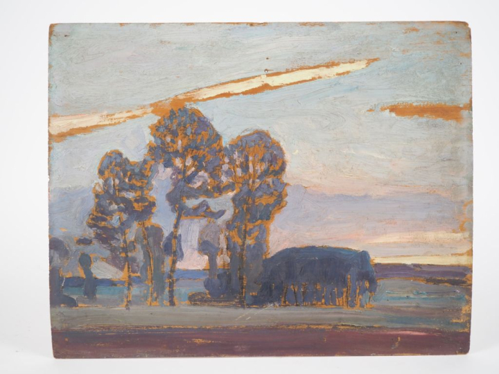 Ecole française XXème. "paysage fauve" Huile sur panneau  Dim. 32,5 x 