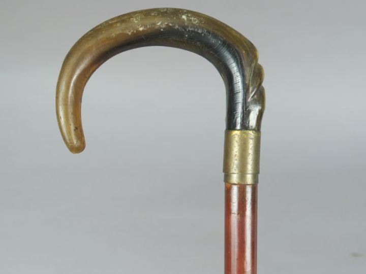 Canne dague.  Poignée courbe en corne sculpté. Virole en laiton. Fut e