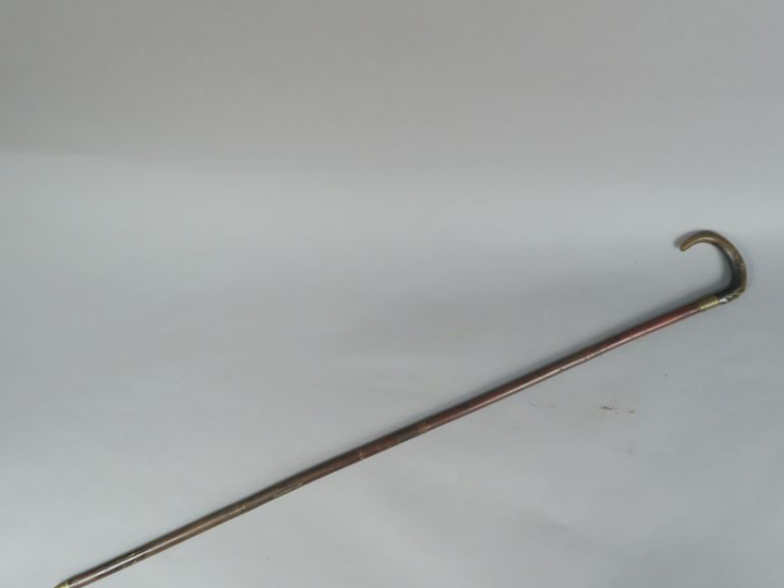 Canne dague.  Poignée courbe en corne sculpté. Virole en laiton. Fut e