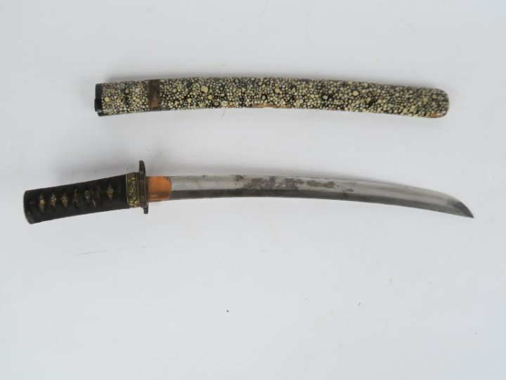 Sabre japonais wakizashi.  Poignée recouvert de galuchat avec tressage