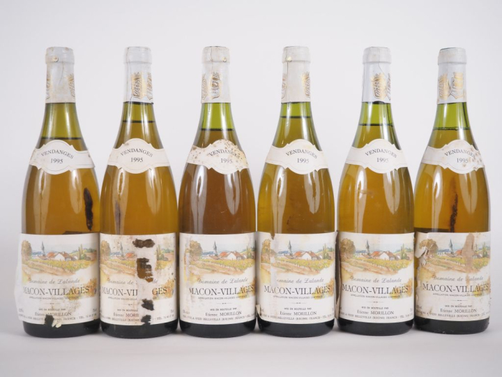 6 BOUTEILLES MACON VILLAGES DOMAINE DE LALANDE E. MORILLON - 1995 - EA
