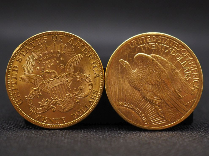 2 pièces de 20 dollars 1923 et 1893 FRAIS ACHETEUR : 10 % HT   