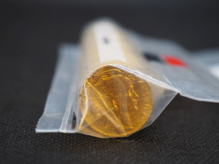 50 pièces de 20 Francs or (une date visible 1911) Dans un sachet sous 