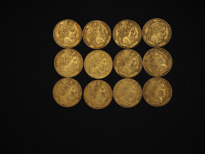 12 pièces de 20 Francs or : 1851, 1851, 1851, 1851, 1850, 1851, 1849, 