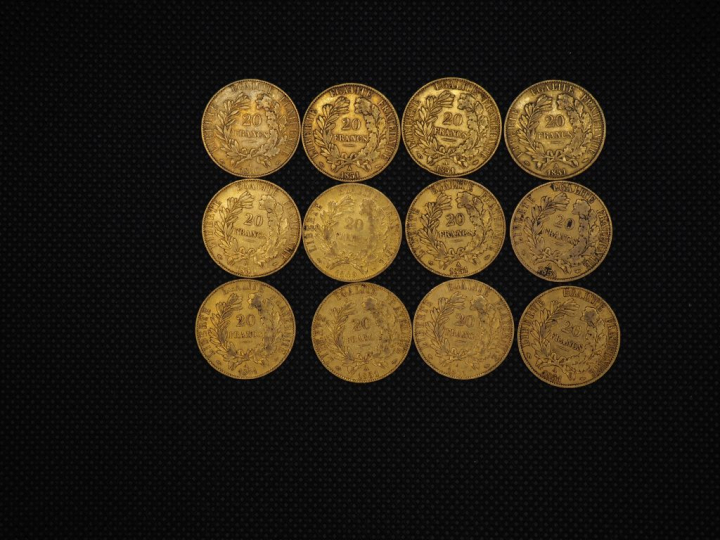 12 pièces de 20 Francs or : 1851, 1851, 1851, 1851, 1850, 1851, 1849, 