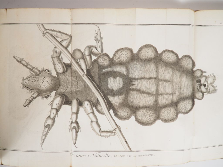 DIDEROT – D’ALEMBERT. ENCYCLOPÉDIE OU DICTIONNAIRE RAISONNÉ DES SCIENC