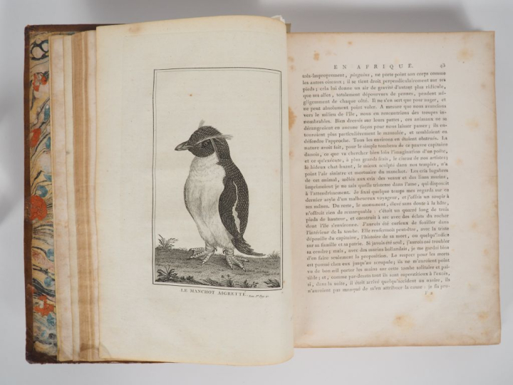 LE VAILLANT (François). VOYAGE DE F. LE VAILLANT, dans l'intérieur de 