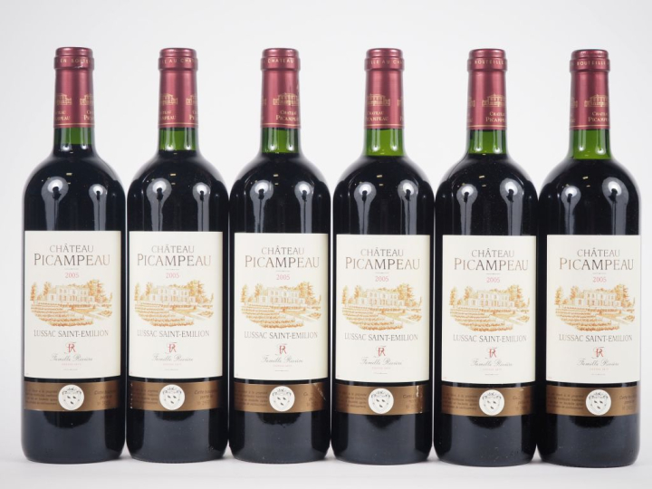 6 BOUTEILLES CHÂTEAU PICAMPEAU LUSSAC ST ÉMILION - 2005 - 5 BG/1 LB  