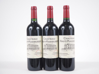 Vente aux enchères 3 BOUTEILLES CHÂTEAU HAUT MARBUZET ST ESTÈPHE - 2016