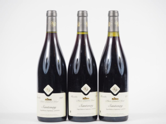 Vente aux enchères 3 BOUTEILLES SANTENAY MAURICE BIDOUILH DE VERNEUIL - 1999
