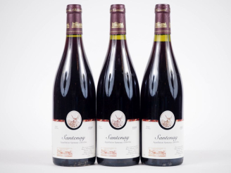 Vente aux enchères 3 BOUTEILLES SANTENAY MAURICE BIDOUILH DE VERNEUIL - 1999