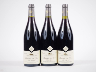 Vente aux enchères 3 BOUTEILLES NUITS ST GEORGES 1er CRU BERTRAND AMBROISE - 2004