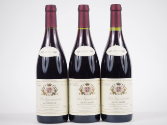 Vente aux enchères 3 BOUTEILLES MONTHÉLIE "LES VIGNEMONTS" PIERRE LAFOREST - 2005