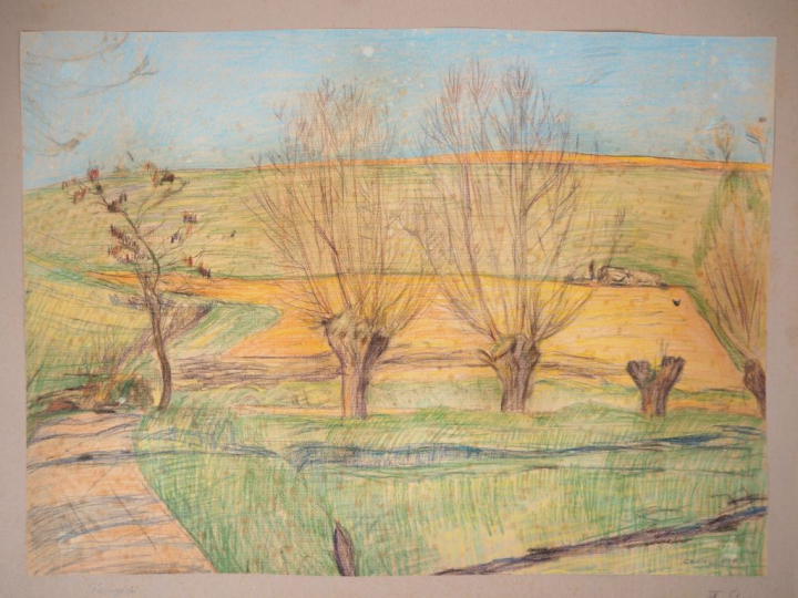 Mario CAVAGLIERI.  "Les Saules" Dessin, crayons de couleurs, signé en 